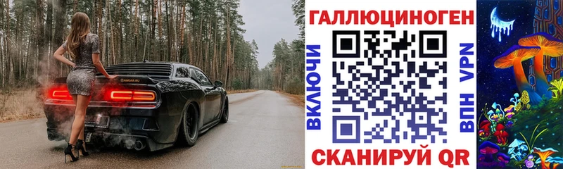 Галлюциногенные грибы Psilocybine cubensis Бронницы